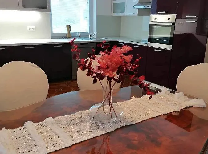 Apartma Bistrica Apartment Slovenska Bistrica